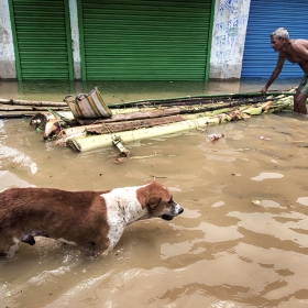 Flood in West Bengal, India