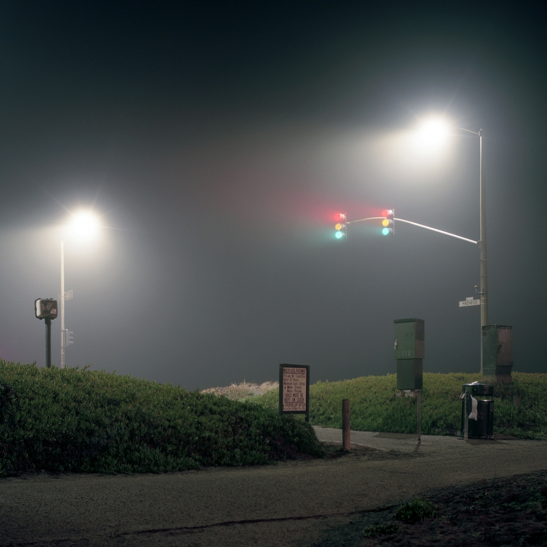 The Foggy Night