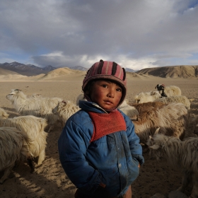 Losing Horizon—the Changpa Nomads of Trans-Himalayan India